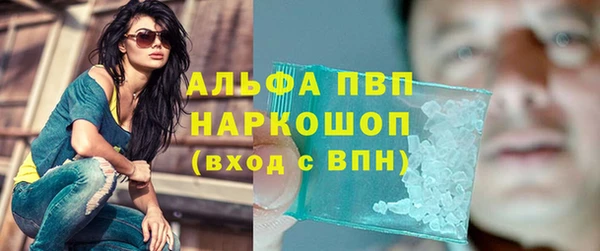 амф Белоозёрский