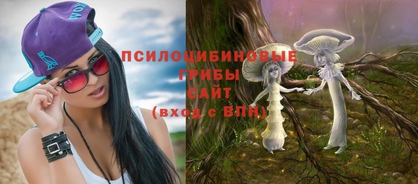 мет Белокуриха