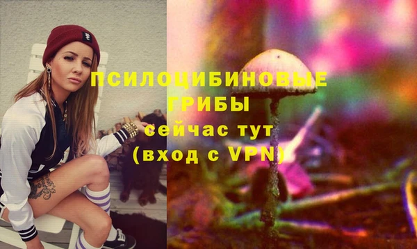 первитин Пересвет