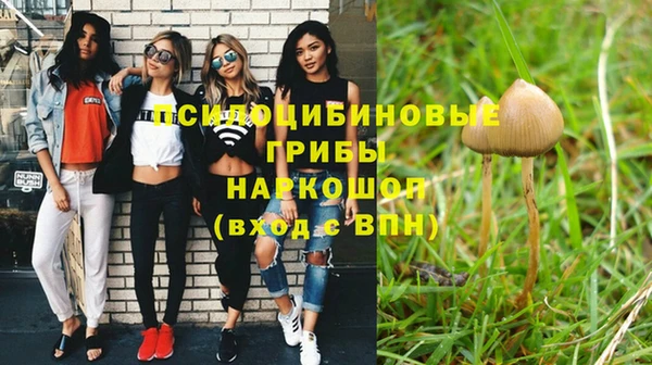 амф Белоозёрский
